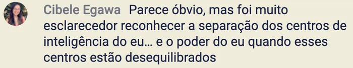 relato de cibele egawa sobre a imersão
